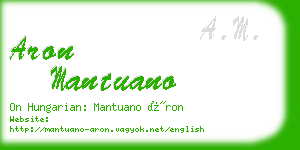 aron mantuano business card